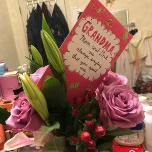 Meet your Posher, Lourdes verna